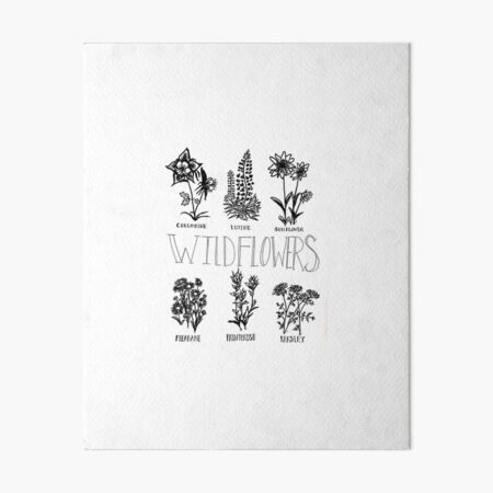Aperçu de l'œuvre Fleurs sauvages du Colorado créée et vendue par ScoScribbles.
