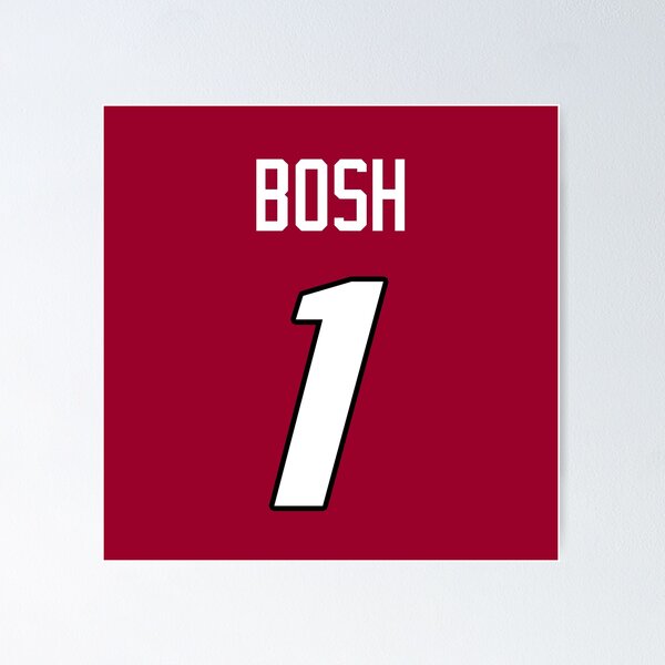 Chris Bosh #1 (Heat)