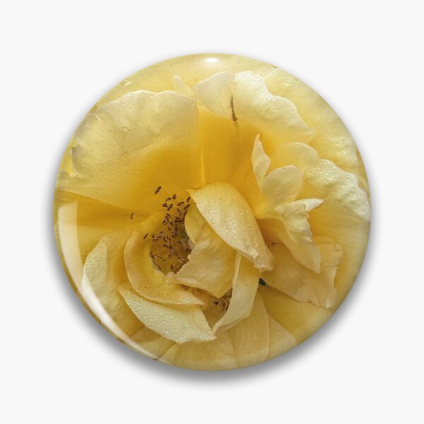 Item preview, Golden Yellow Rose with Dew – Peaceful Floral Close-Up designed and sold by RhyAndBlues.
