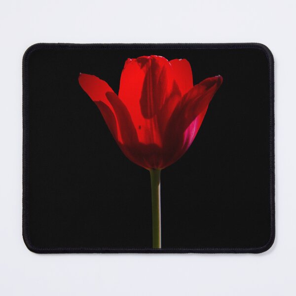 Item preview, Red Tulip designed and sold by MZukoPhoto.