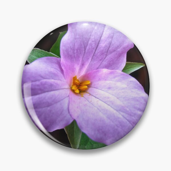 Item preview, Pink Trillium designed and sold by MZukoPhoto.