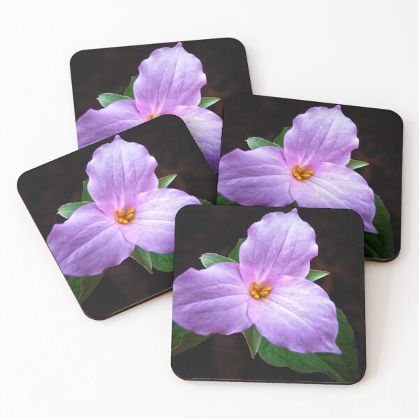 Item preview, Pink Trillium designed and sold by MZukoPhoto.