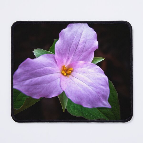 Item preview, Pink Trillium designed and sold by MZukoPhoto.