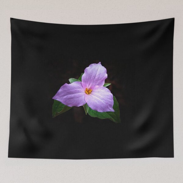 Item preview, Pink Trillium designed and sold by MZukoPhoto.