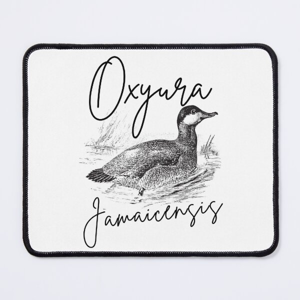 Item preview, ruddy duck Oxyura jamaicensis designed and sold by lino4king.