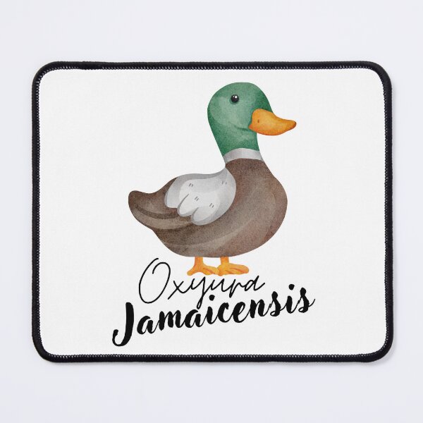 Item preview, ruddy duck Oxyura jamaicensis designed and sold by lino4king.