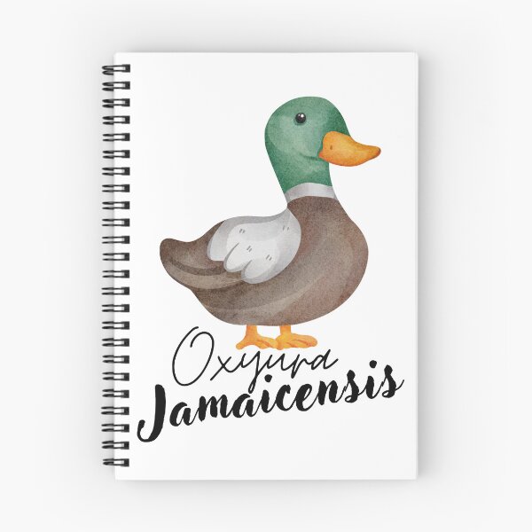 Item preview, ruddy duck Oxyura jamaicensis designed and sold by lino4king.