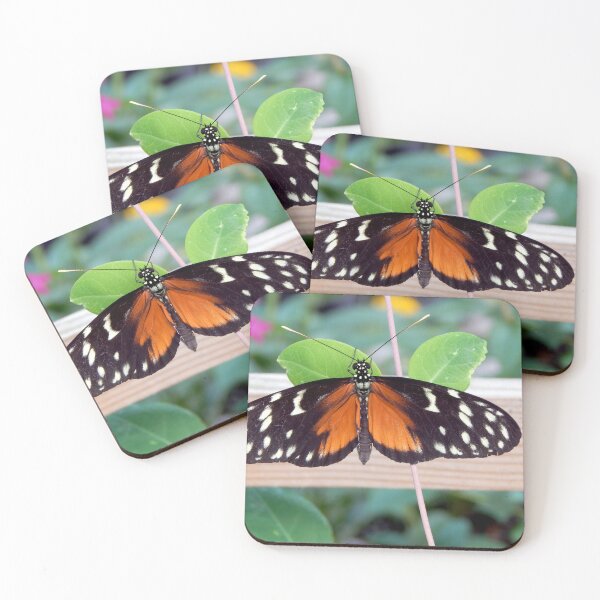 Item preview, Hecale Longwing Butterfly designed and sold by gistinker.