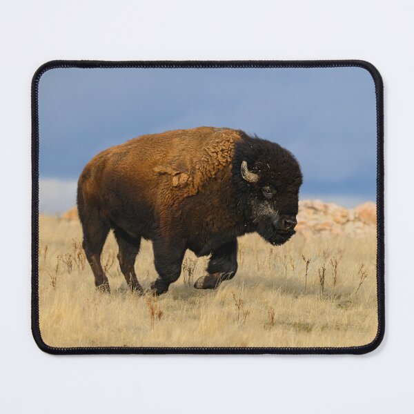Item preview, Bison on the run designed and sold by Eivor Kuchta.