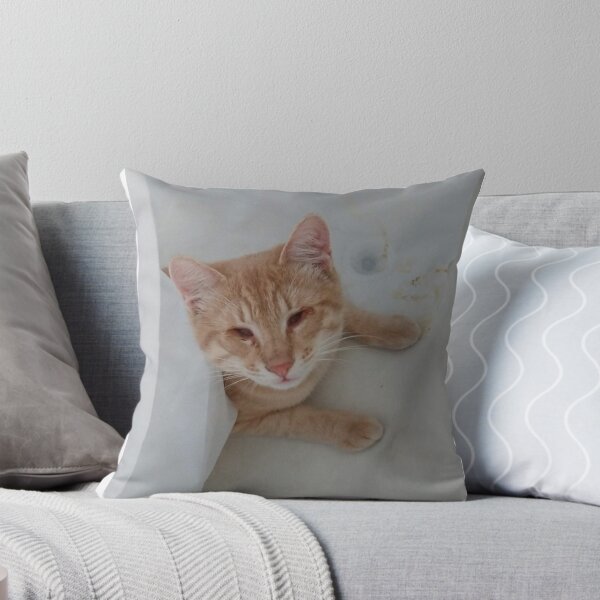 Item preview, Symba in the tub designed and sold by JanelSymba.