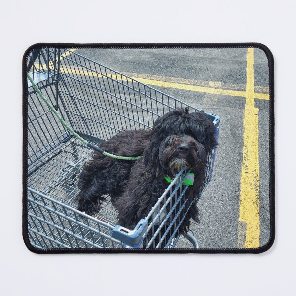 Item preview, Brody chilling in a shopping cart designed and sold by JanelSymba.