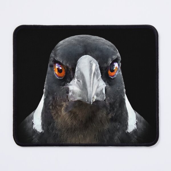 Item preview, Australian Magpie is Watching You! designed and sold by Wonderbouy.