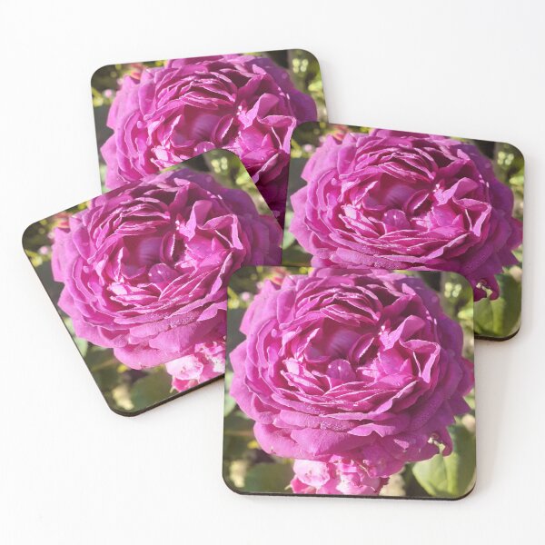 Item preview, Purple Rose Vintage Rose Flower Photo - Reine Des Violettes designed and sold by Sarah  Rajkotwala.