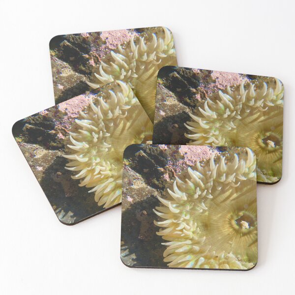 Item preview, Anemone  designed and sold by PirateGirl28.