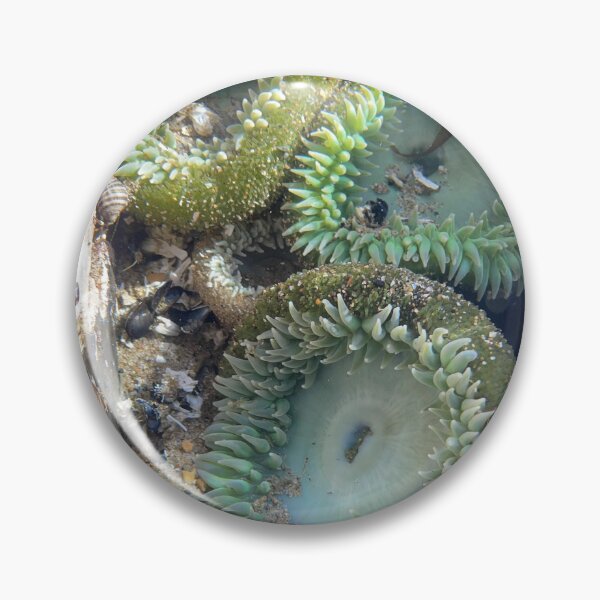 Item preview, Anemones designed and sold by PirateGirl28.
