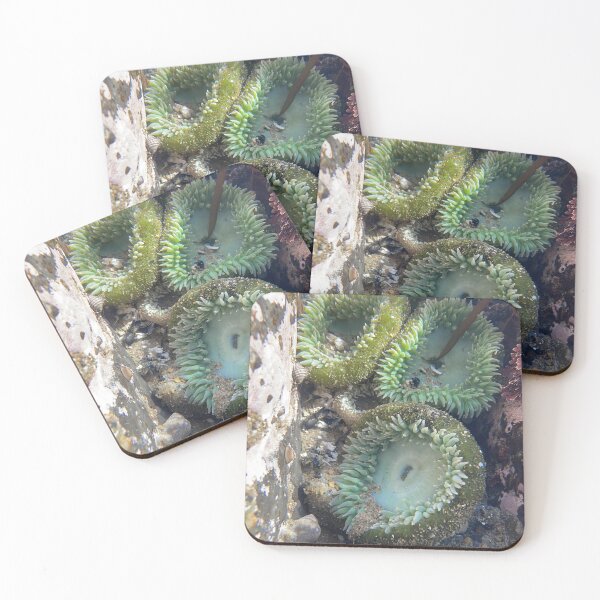 Item preview, Anemones designed and sold by PirateGirl28.