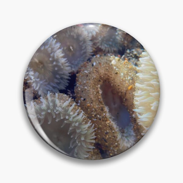 Item preview, Anemones II  designed and sold by PirateGirl28.