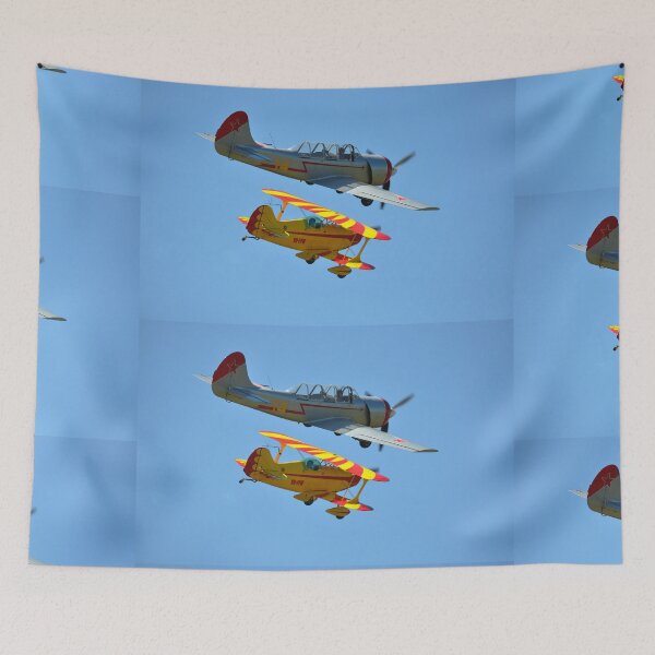 Item preview, 20161002 Kempsey Air Show - Pitts & Yak-52 formation designed and sold by muz2142.