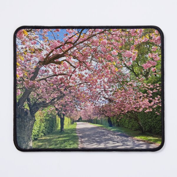 Item preview, Blossoming cherry trees designed and sold by Trine.