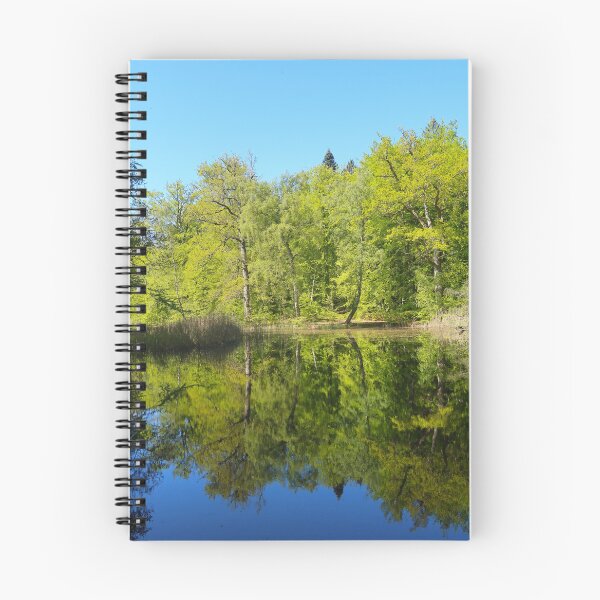 Item preview, A bright day by a forest lake designed and sold by Trine.