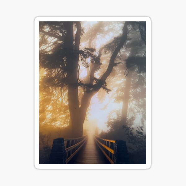 Item preview, Golden Sunlight Wooden Bridge in Foggy Forest designed and sold by oonanttis.