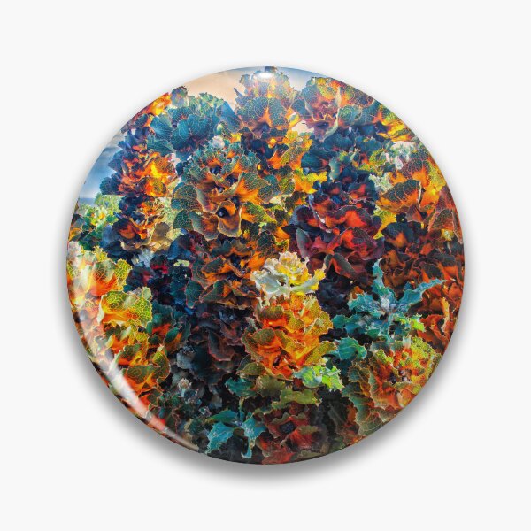 Item preview, Royal Hakea - Artistic Vision designed and sold by photograham.