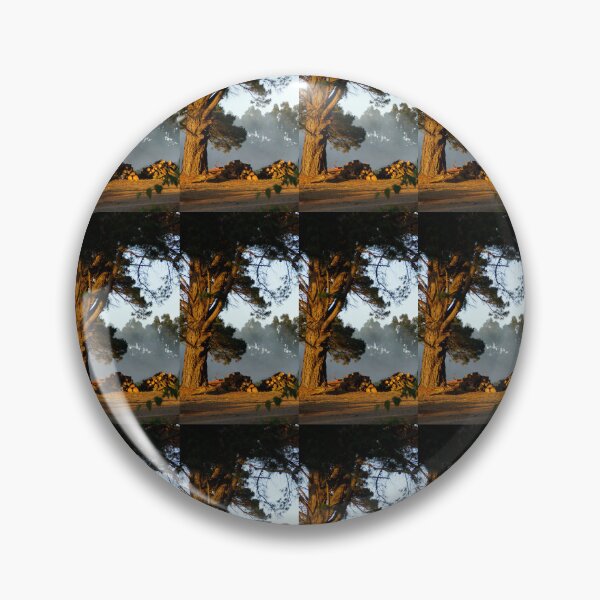 Item preview, Golden Morning Light on Pine Tree – Magpie Springs Landscape by Avril Thomas designed and sold by MagpieSprings.
