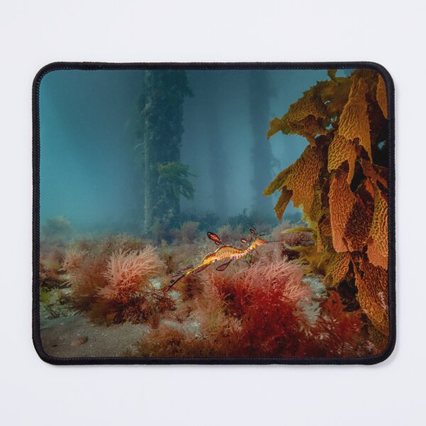 Item preview, Weedy Seadragon Under Portsea Pier designed and sold by Russell Charters.
