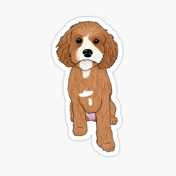 Item preview, Apricot Cavoodle designed and sold by CreativeWright.