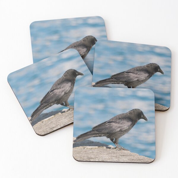 Item preview, Carrion Crow Corvus corone Against Harbour Waters designed and sold by Dorset Girl.