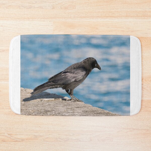 Item preview, Carrion Crow Corvus corone Against Harbour Waters designed and sold by Dorset Girl.
