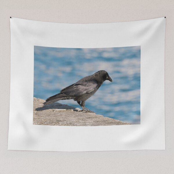 Item preview, Corneja negra (Corvus corone) contra las aguas del puerto designed and sold by Dorset Girl.