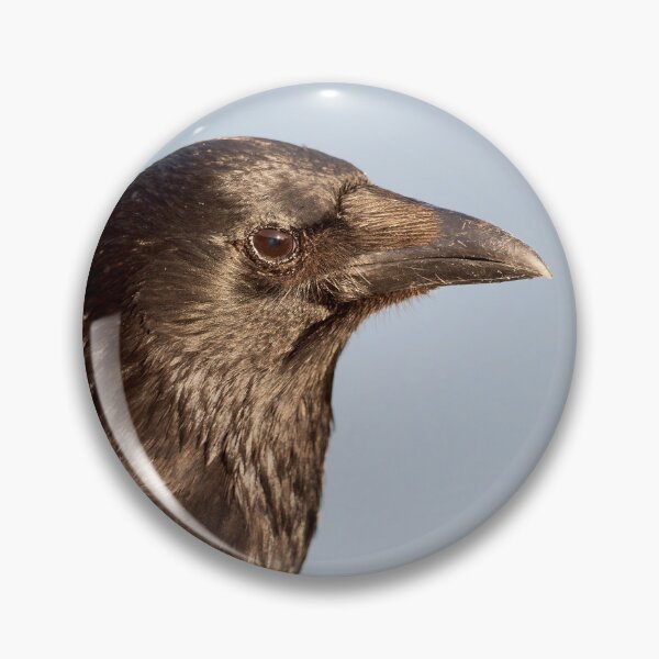 Artikelvorschau, Aaskrähe Corvus corone entworfen und verkauft von Dorset Girl.