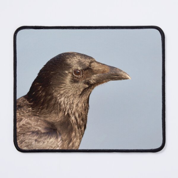 Item preview, Carrion Crow Corvus corone  designed and sold by Dorset Girl.