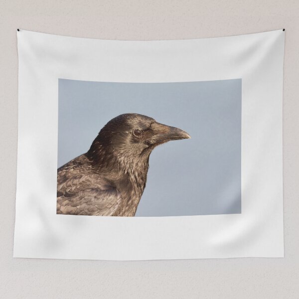 Item preview, Cuervo negro Corvus corone designed and sold by Dorset Girl.