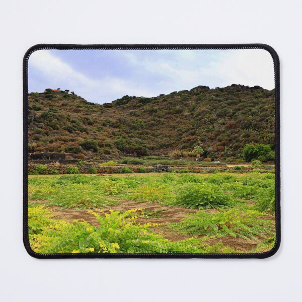 Item preview, Caper cultivation designed and sold by annalisa56.