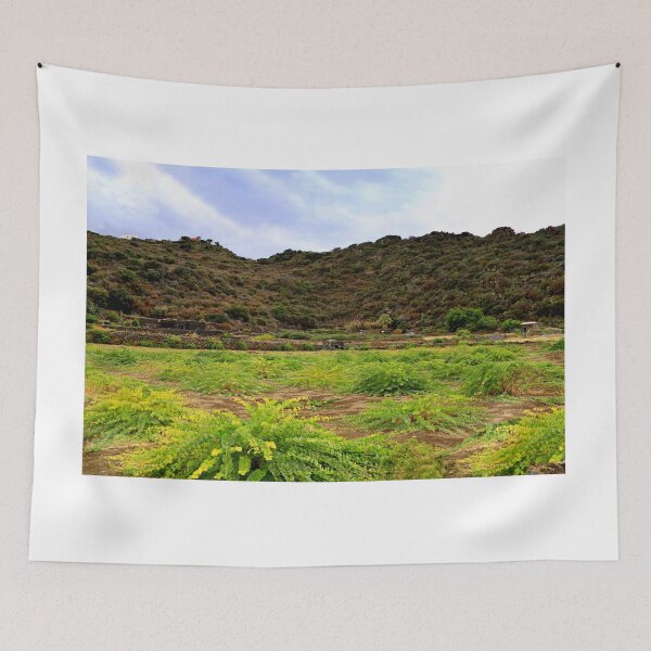 Item preview, Caper cultivation designed and sold by annalisa56.