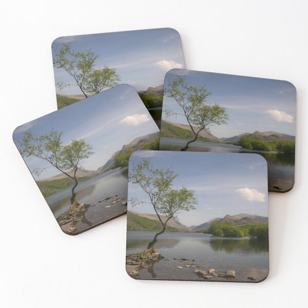 Item preview, Llyn Padarn tree designed and sold by Leighton Collins.
