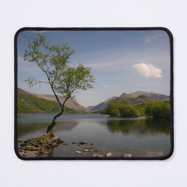 Item preview, Llyn Padarn tree designed and sold by Leighton Collins.