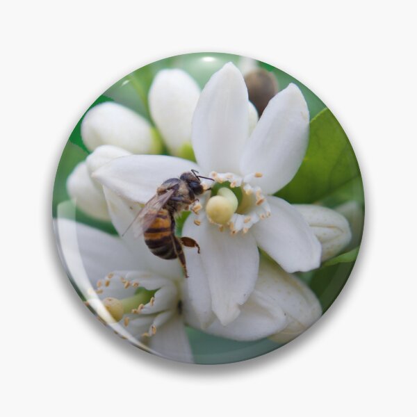 Item preview, "BeeKind" designed and sold by RLimberg.