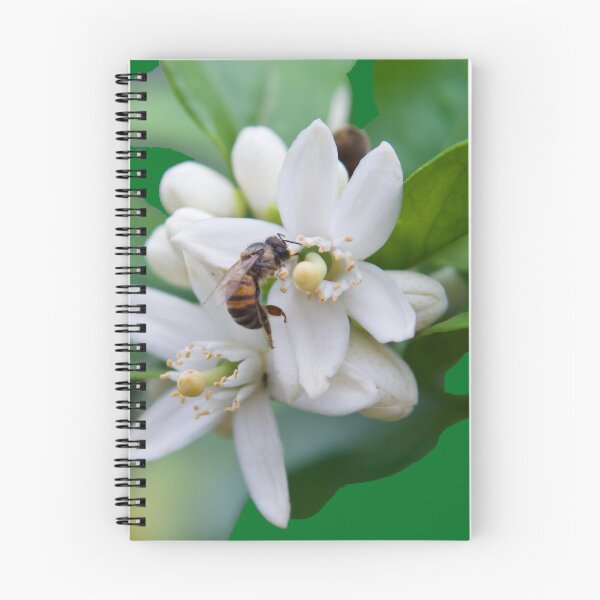 Item preview, "BeeKind" designed and sold by RLimberg.