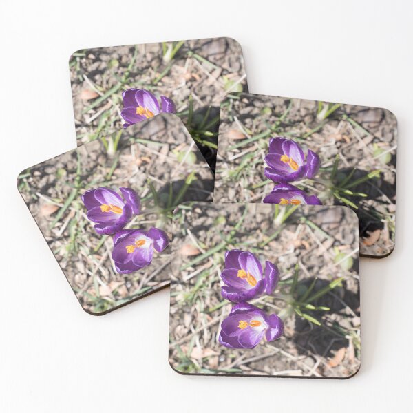 Item preview, Purple Crocus Pair Blooming Together designed and sold by Georgia Mizuleva.