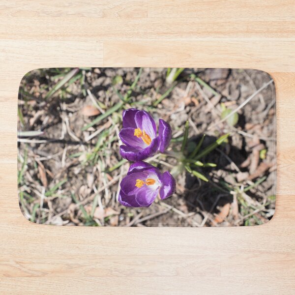 Item preview, Purple Crocus Pair Blooming Together designed and sold by Georgia Mizuleva.