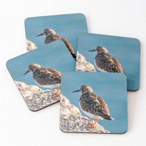 Item preview, Ruddy Turnstone - Arenaria interpres designed and sold by Dorset Girl.