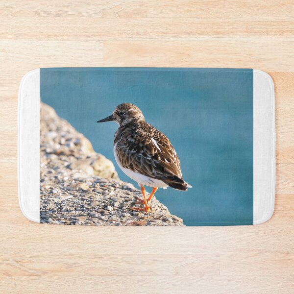 Item preview, Ruddy Turnstone - Arenaria interpres designed and sold by Dorset Girl.