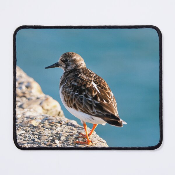 Item preview, Ruddy Turnstone - Arenaria interpres designed and sold by Dorset Girl.