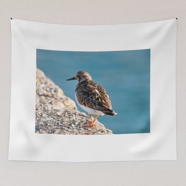 Item preview, Ruddy Turnstone - Arenaria interpres designed and sold by Dorset Girl.