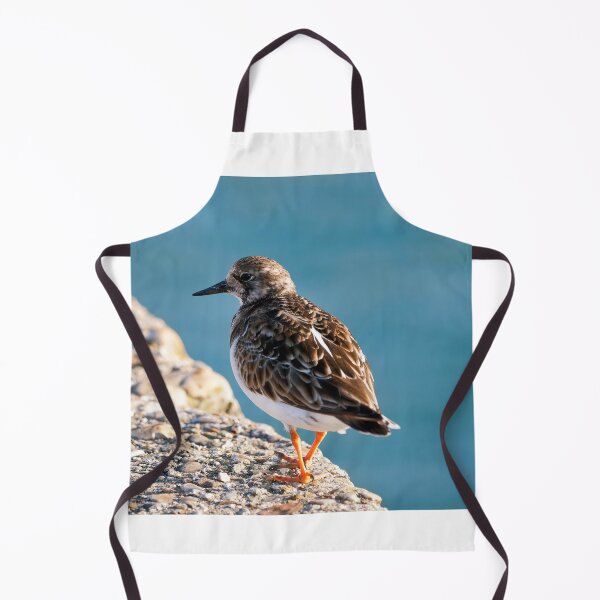 Item preview, Ruddy Turnstone - Arenaria interpres designed and sold by Dorset Girl.