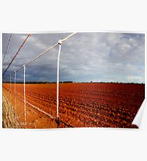 wire fence Poster