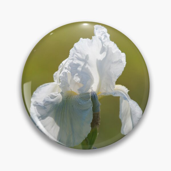 Item preview, White Flag Iris lbicans designed and sold by Dorset Girl.